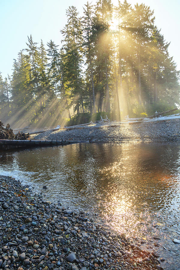 Beach Photograph - Sun Streaming Through Trees, Juan De by Stuart Westmorland Beach Photograph - Sun Streaming Through Trees, Juan De by Stuart Westmorland