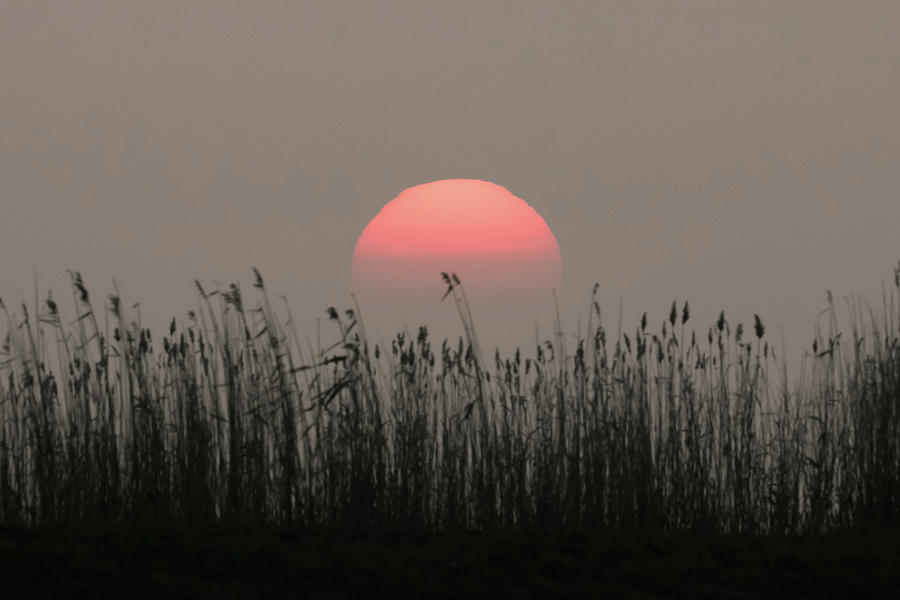 Sundown #1 Photograph by Wendy Cooper
