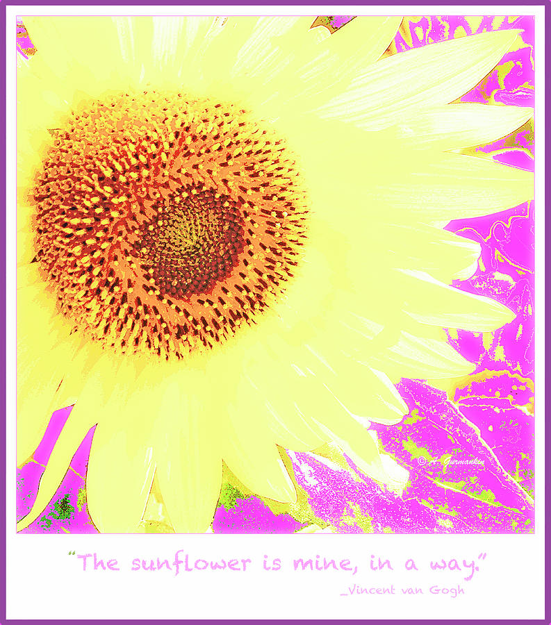 Sunflower and Van Gogh Quotation #1 Photograph by A Macarthur Gurmankin
