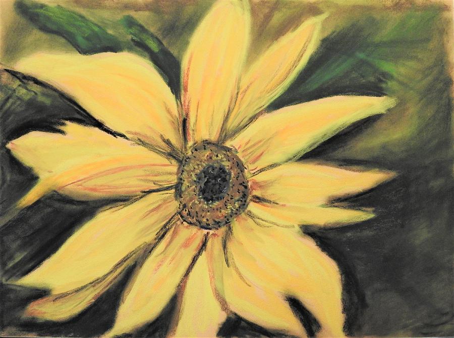 Sunflower #1 Pastel by Betty-Anne McDonald