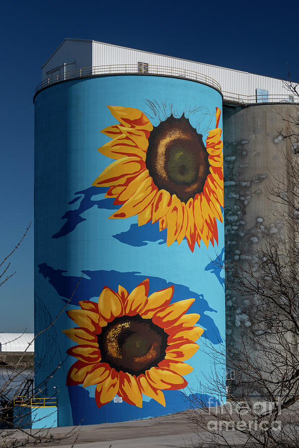 Sunflower Mural On Grain Silos #1 Photograph by Jim West/science Photo Library