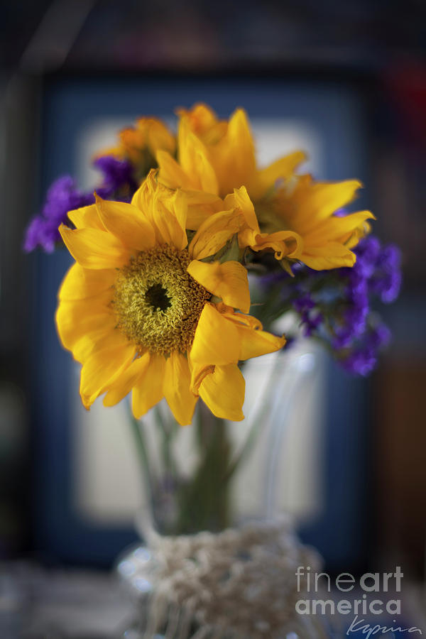 Sunflower Still Life #1 Photograph by Greg Kopriva