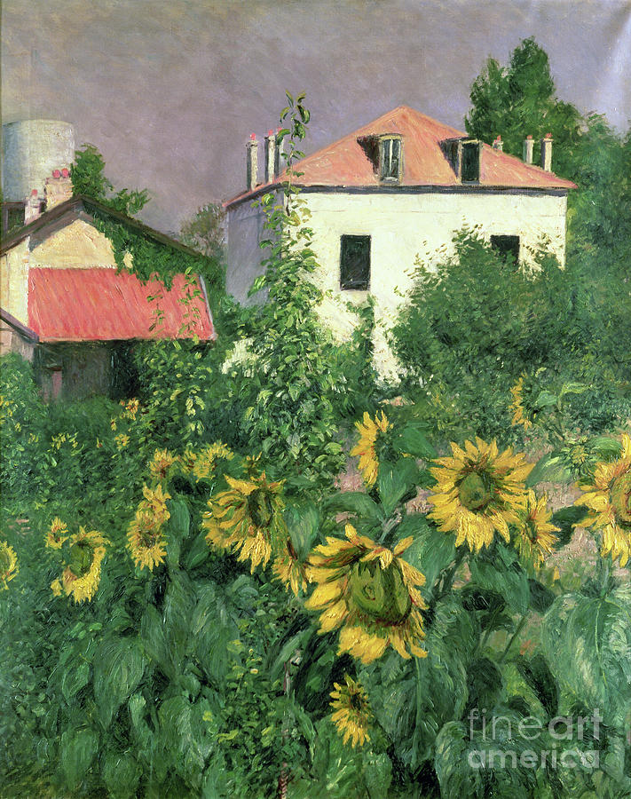 Gustave Caillebotte Painting - Sunflowers In The Garden At Petit Gennevilliers by Gustave Caillebotte
