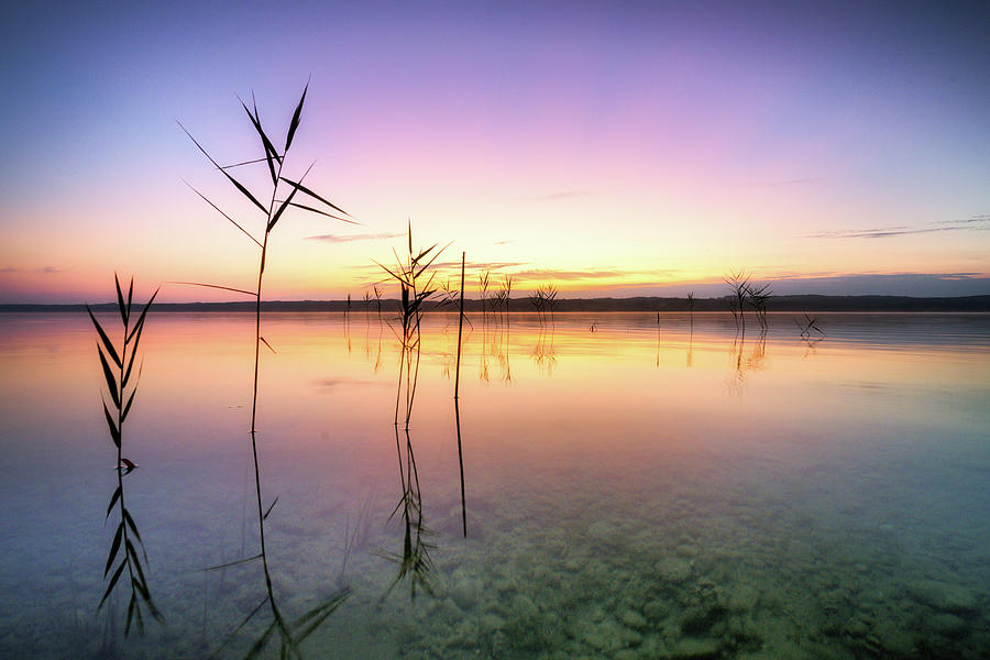 Sunrise At Lake Starnberg, Bavaria, Germany #1 Photograph by Ulrike Eisenmann