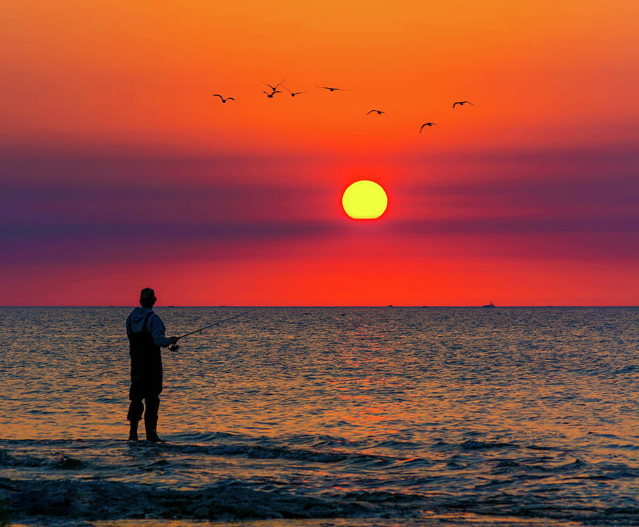 Bird Photograph - Sunrise Fishing #2 by Todd Heckert