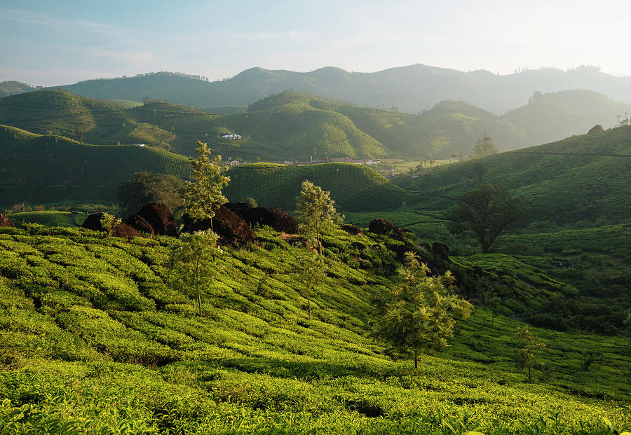 Sunrise Over Hills And Valley, Top Station, Kerala, India Digital Art ...