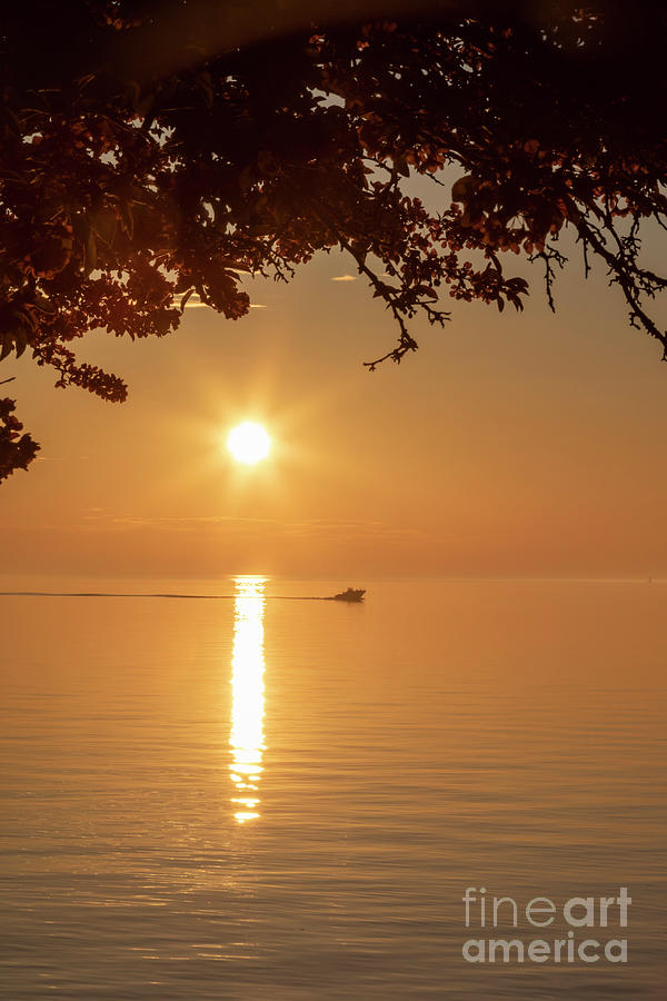Sunrise Over Lake St Clair #1 Photograph by Jim West/science Photo Library