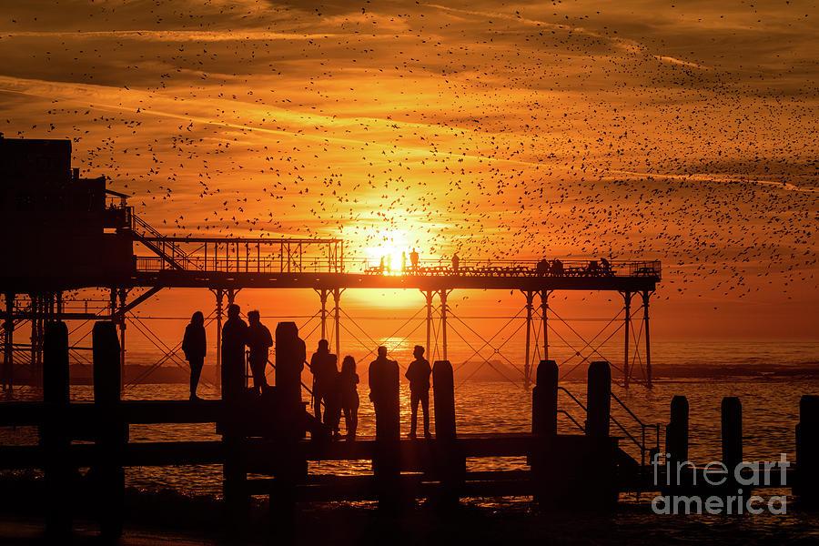 Aberystwyth Photograph - Sunset And Starlings In Aberystwyth by Keith Morris Aberystwyth Photograph - Sunset And Starlings In Aberystwyth by Keith Morris