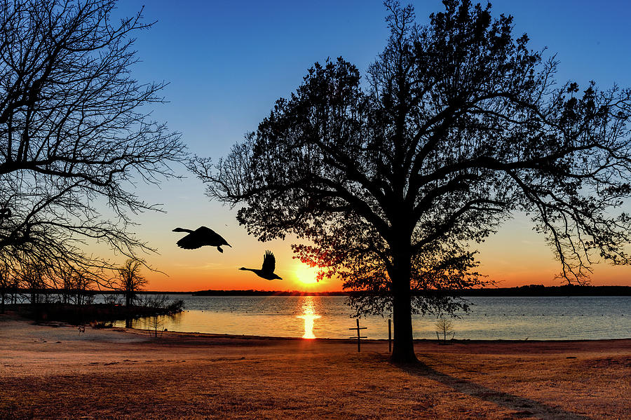 Nature Photograph - Sunset at the lake #1 by Doug Long