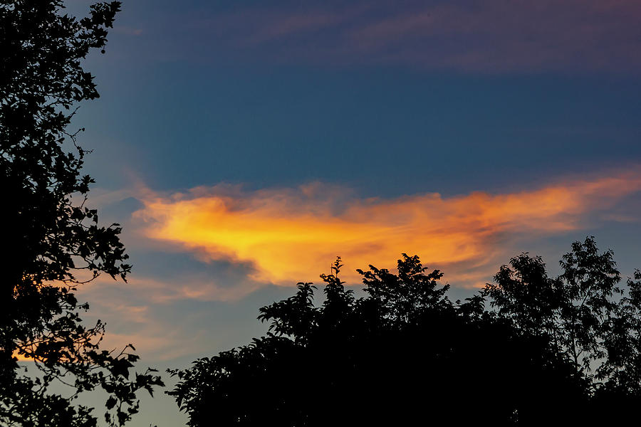 Sunset Clouds Sky and Trees #1 Photograph by Robert Ullmann