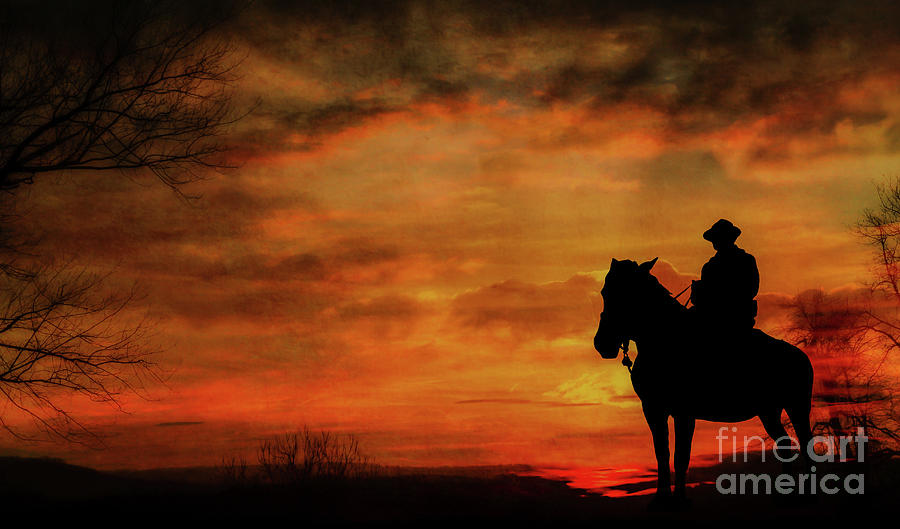 Sunset Cowboy #1 Digital Art by Randy Steele