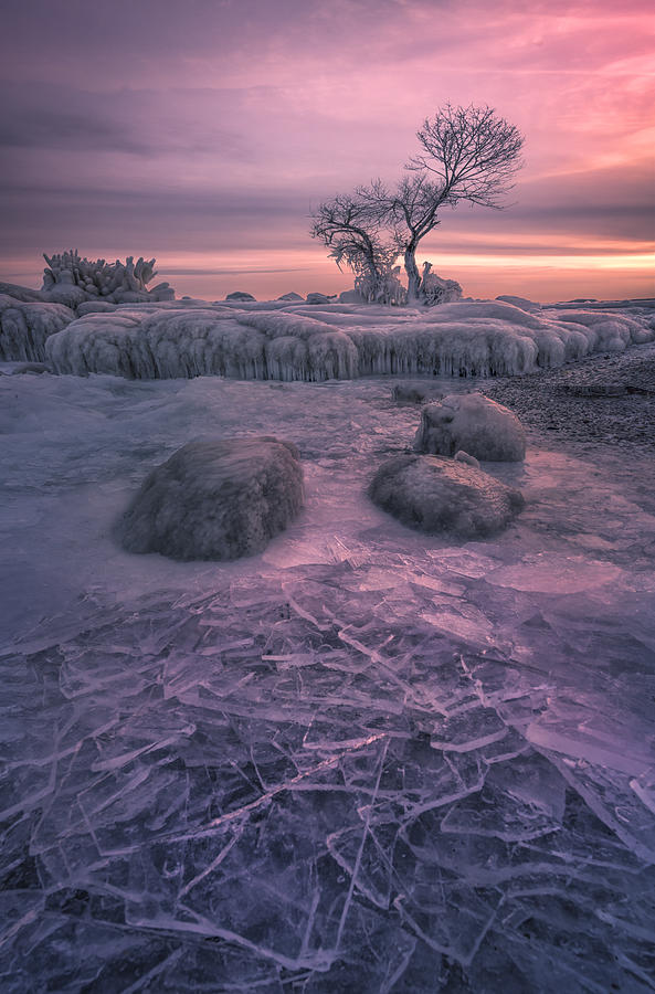 Winter Photograph - Sunset #1 by Larry Deng