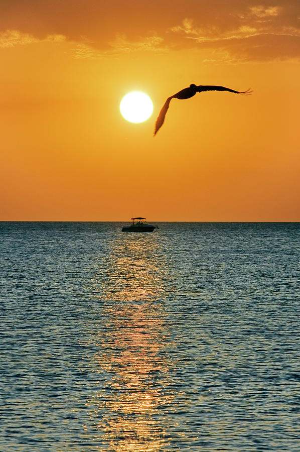 Beach Digital Art - Sunset, Naples, Florida #1 by Gabriel Jaime Jimenez