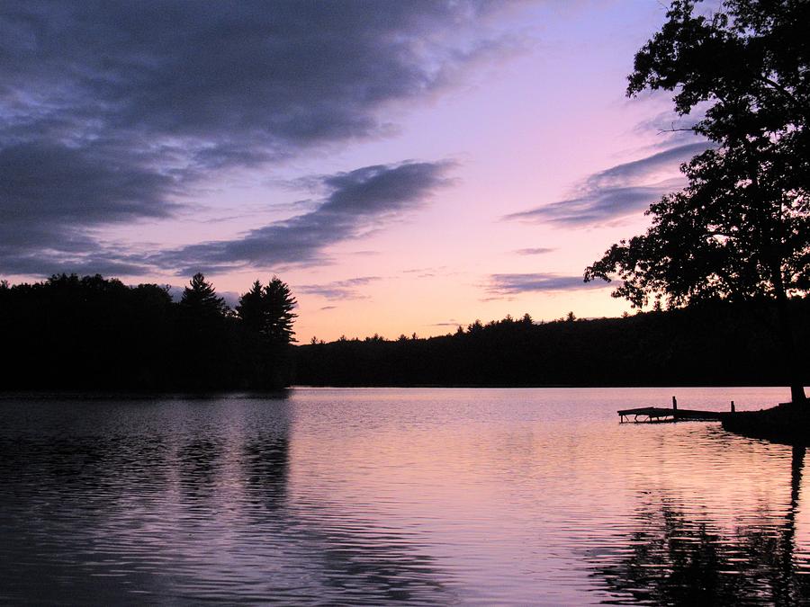 Sunset On Bunganut Lake 1 Photograph by Lynne Miller - Fine Art America