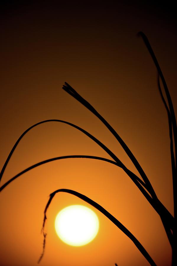Sunset on Caribbean #5 Photograph by Robert Grac