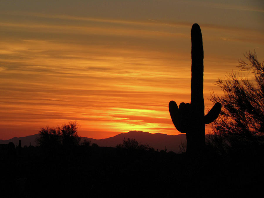 Phoenix Painting - Sunset over Superstition Mountain by Dennis Ciscel