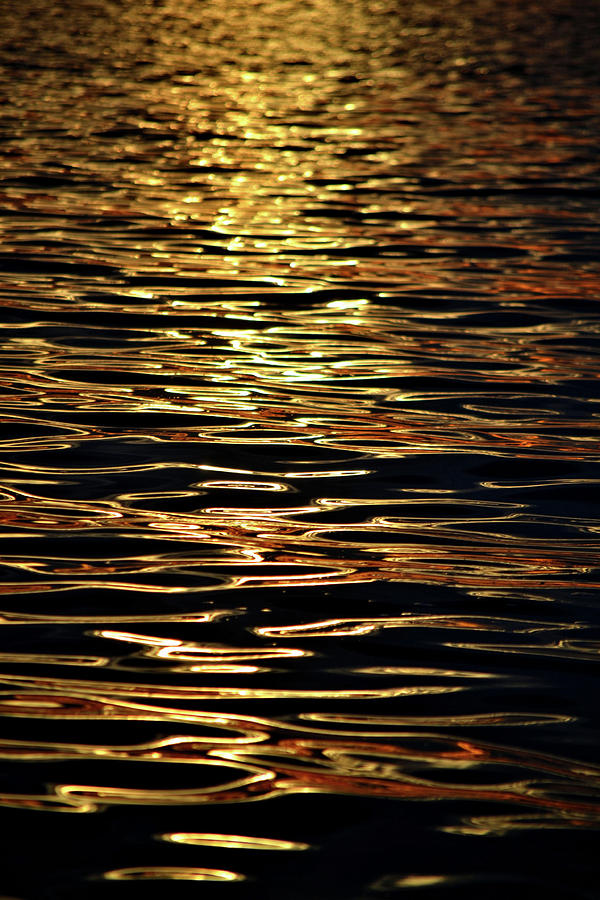 Sunset Reflections #1 Photograph by Tara Potts