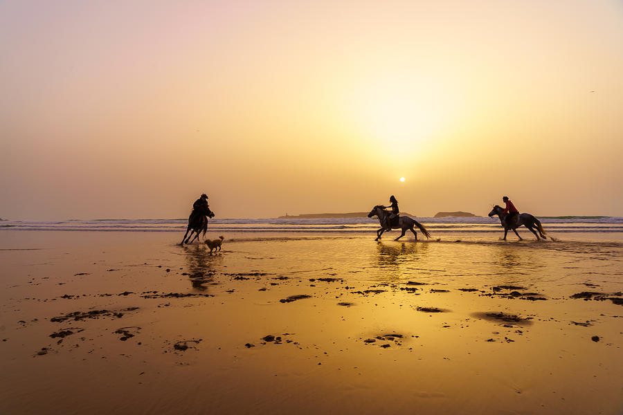 Nature Photograph - Sunset Silhouette Of Horses And Riders, Beach Of Essaouira #1 by Ran Dembo