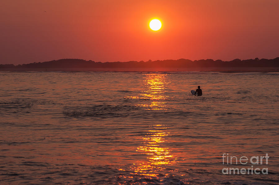 Sunset Surfer Photograph by Anthony Sacco