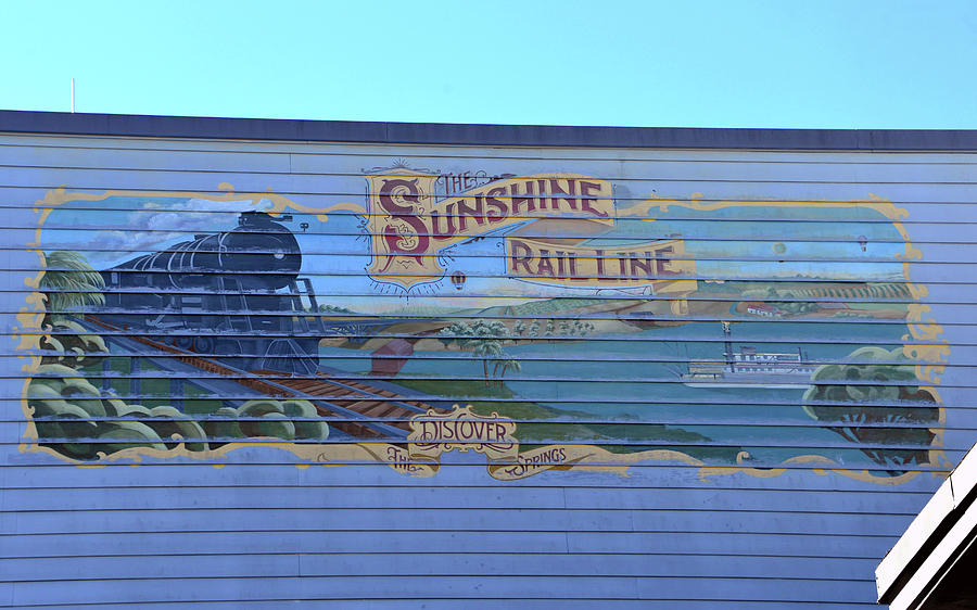 Sunshine Rail Line Disney Springs #1 Photograph by David Lee Thompson