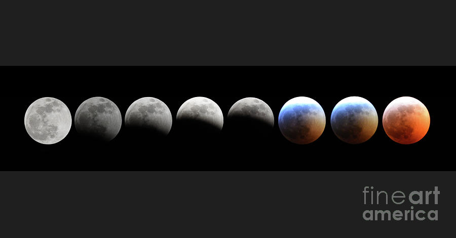 Super Blood Wolf Moon by Charles Owens Super Blood Wolf Moon by Charles Owens