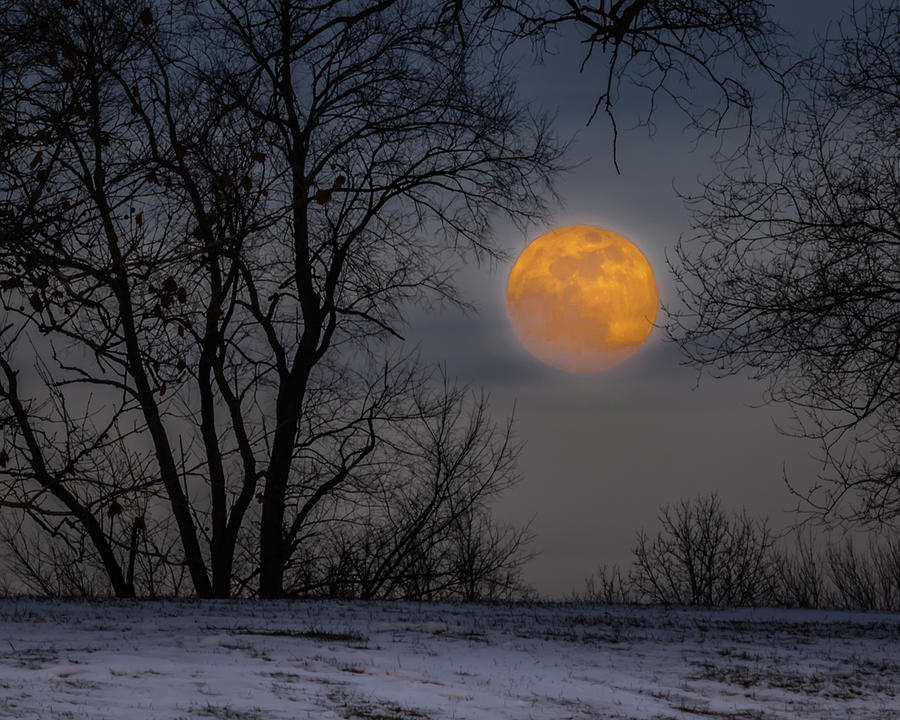 Super Blue Moon Rising 2 #1 Photograph by William Christiansen