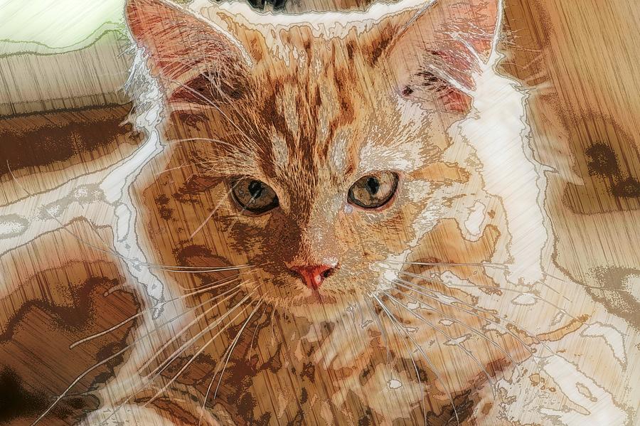 Super Duper Artistic Cat Digital Art by Don Northup