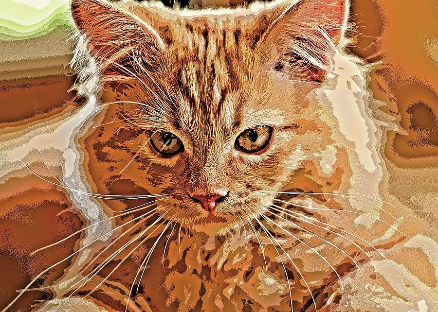 Super Duper Cat Mixed Media Pink #1 Digital Art by Don Northup