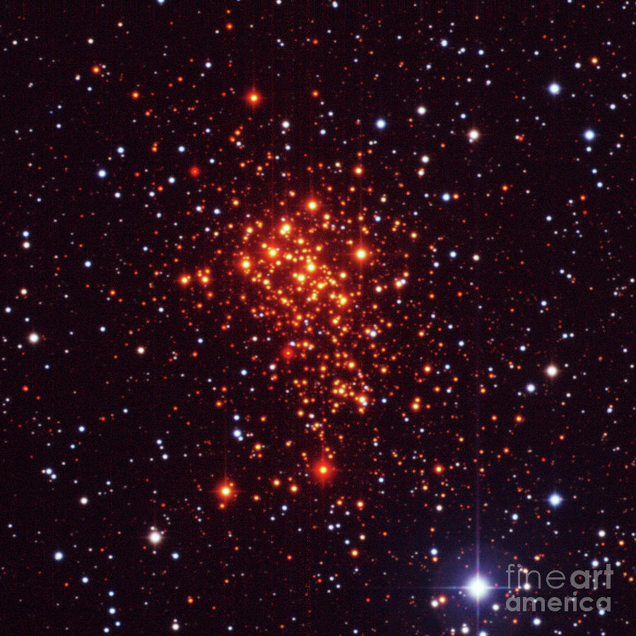Super Star Cluster Westerlund 1 #1 Photograph by European Southern Observatory/science Photo Library