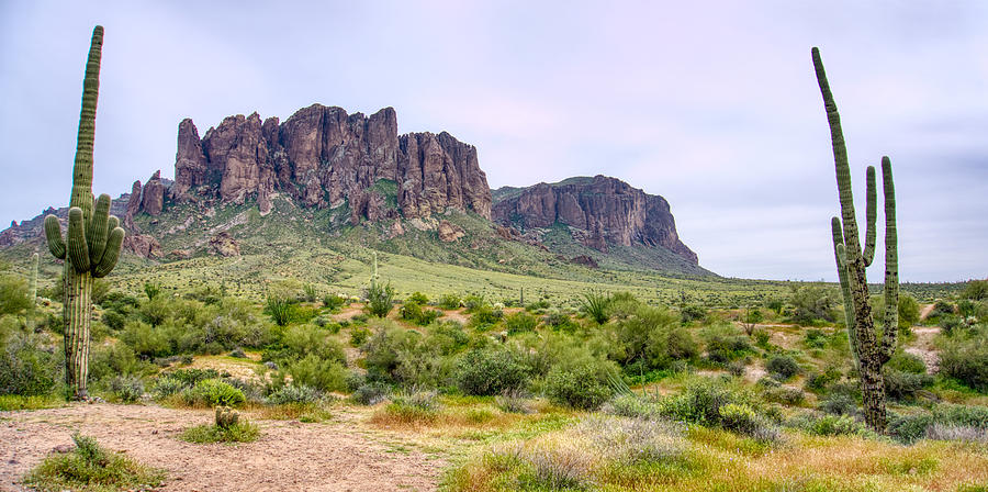 Superstition Mountains  #1 Photograph by Anthony Giammarino
