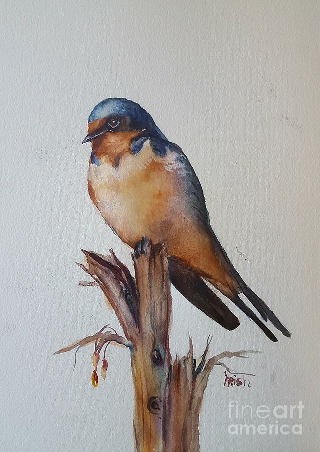 swallow painting