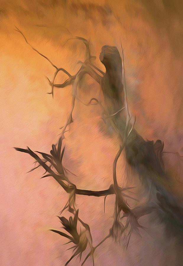 Swamp Woman by Rosalie Scanlon Swamp Woman by Rosalie Scanlon