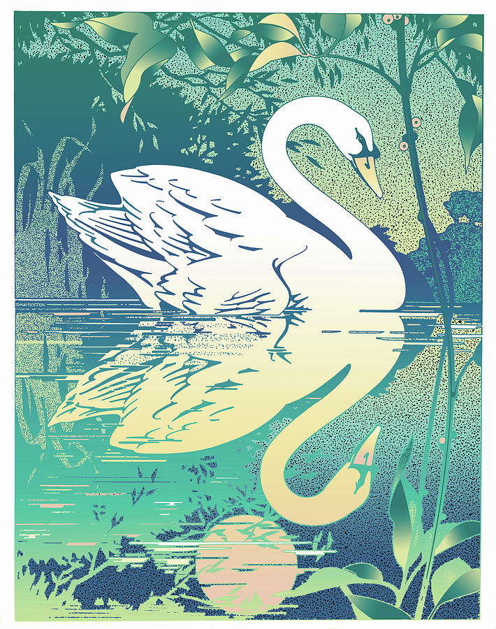Swan Digital Art - Swan #1 by David Chestnutt