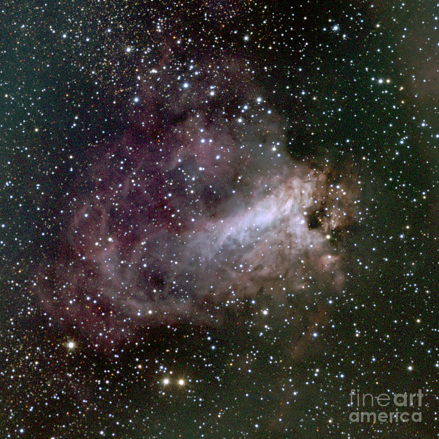 Swan Nebula (m17) #1 Photograph by Noao/aura/nsf/science Photo Library