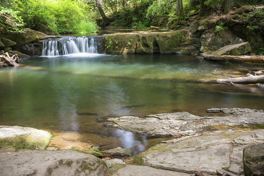 Nature Photograph - Swimming Hole #1 by Kristopher Schoenleber