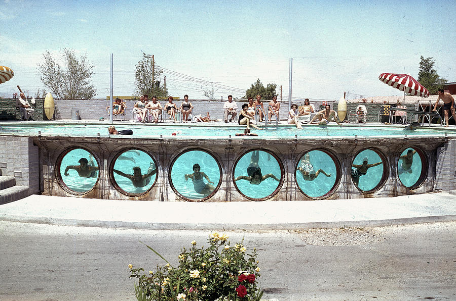 Swimming In Las Vegas Photograph by Loomis Dean