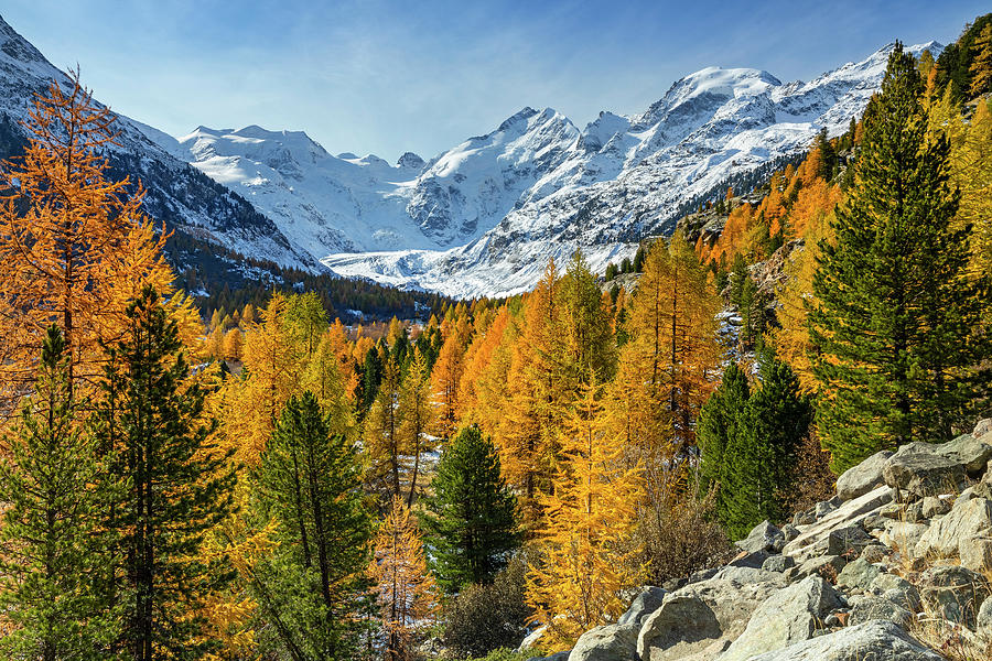 Switzerland, Grisons, Engadin, Pontresina, Alps, Swiss Alps, Val ...