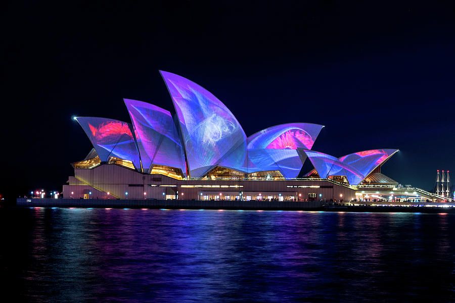 Sydney Opera House Photograph by Ross Campbell - Fine Art America