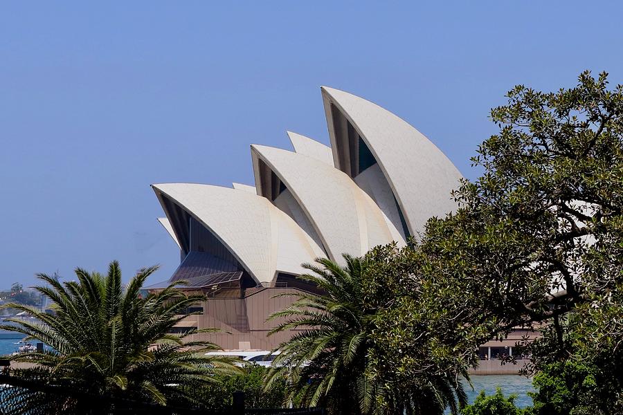 Sydney Opera House #1 Photograph by Sarah Lilja