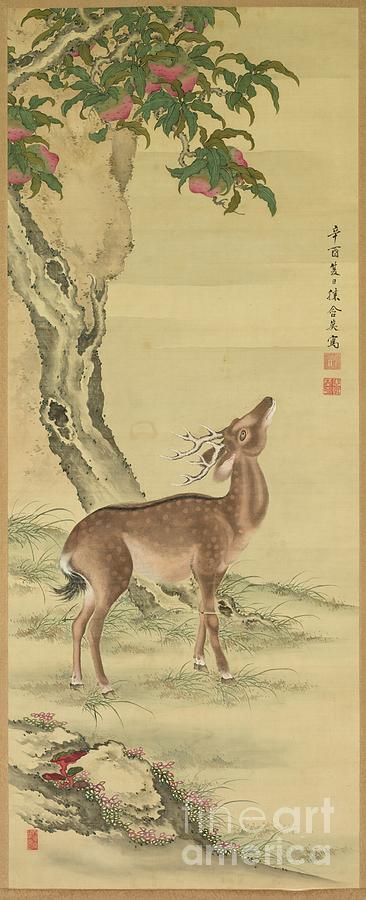Symbols Of Longevity Deer Under Peach #1 Drawing by Heritage Images