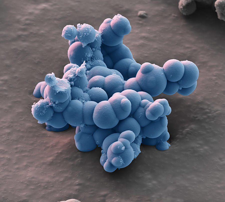 Synthetic Microspheres, Sem #1 Photograph by Meckes/ottawa