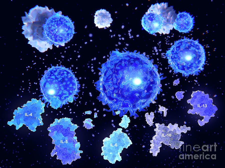 T Helper Cells And Interleukin Molecules Photograph by