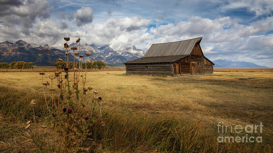T.a. Moulton Barn #1 Photograph by Doug Sturgess