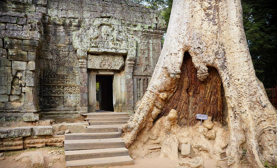 Scenic Photograph - Ta Prohm Temple, Angkor, Cambodia, Asia #1 by Jan Wlodarczyk