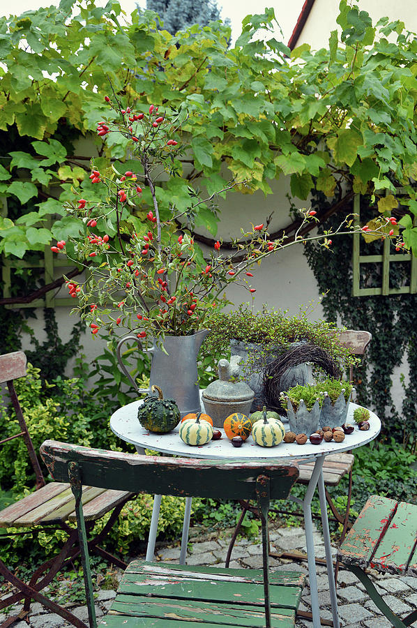 Table Arrangement With Rosehip Bouquet And Ornamental Pumpkins #1 Photograph by Christin By Hof 9