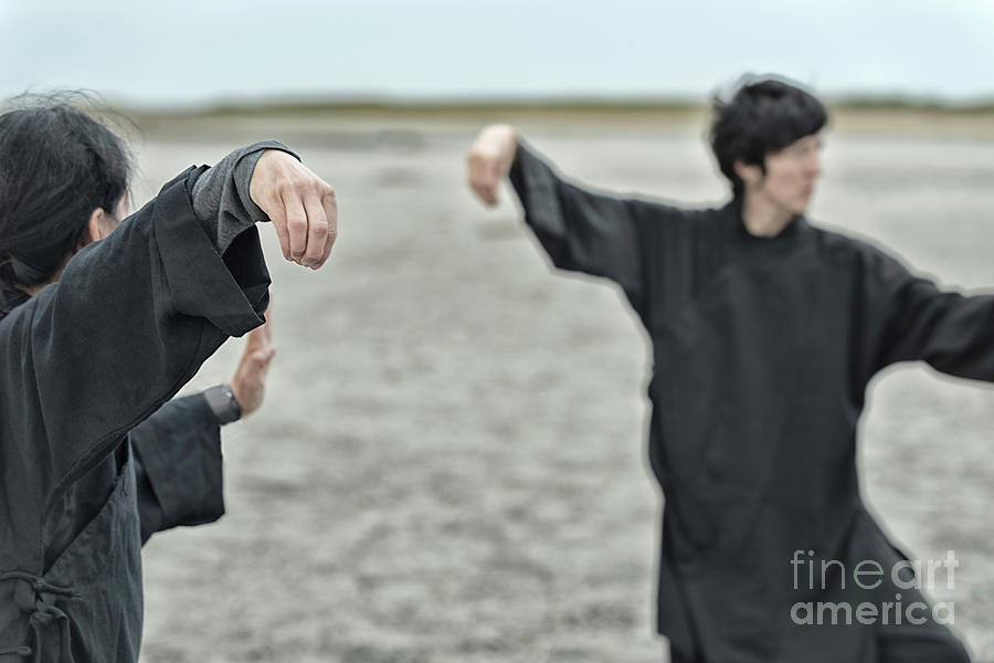 Desert Photograph - Tai Chi Chuan Practice #1 by Microgen Images/science Photo Library