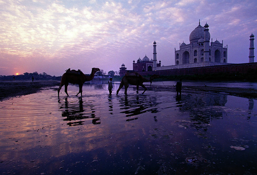 Taj Mahal, India #1 Digital Art by Massimo Borchi