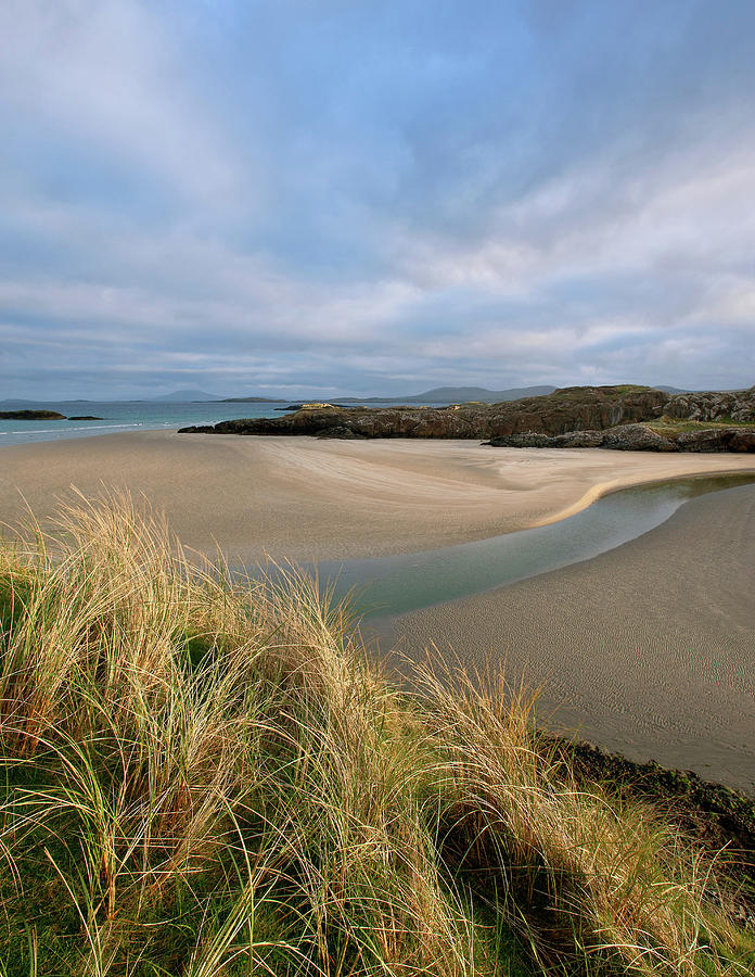 Tall Grass Growing On Beach Digital Art by Ben Pipe Photography - Fine ...