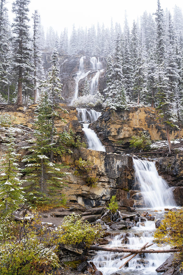 Tangle Creek Falls In Jasper National Park #1 Photograph by Jeff Foott