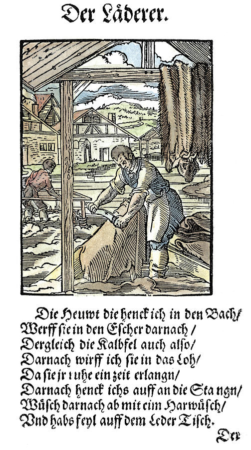 Tanner, 1568 by Granger Tanner, 1568 by Granger